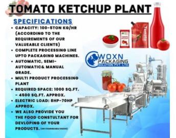 tomato ketchup plant