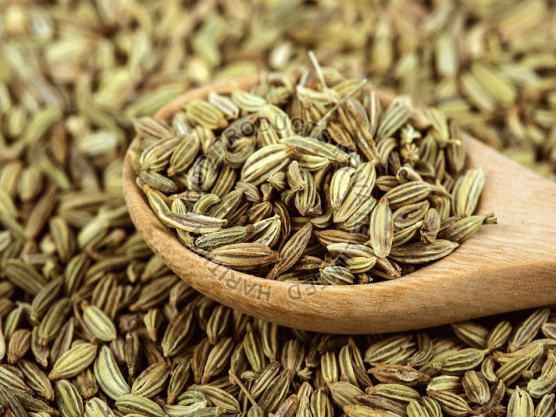 Green Raw Natural Fennel Seed, for Cooking Spices, Certification : FSSAI Certified
