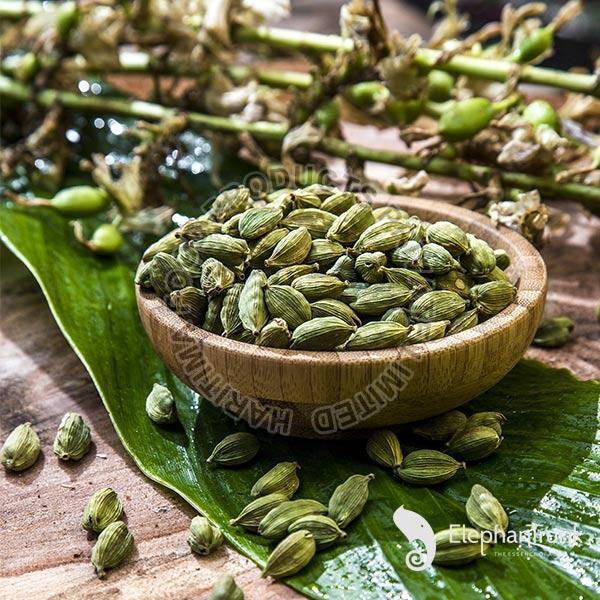 Raw Natural Green Cardamom Pods, for Cooking Spices, Grade Standard : Medicine Grade
