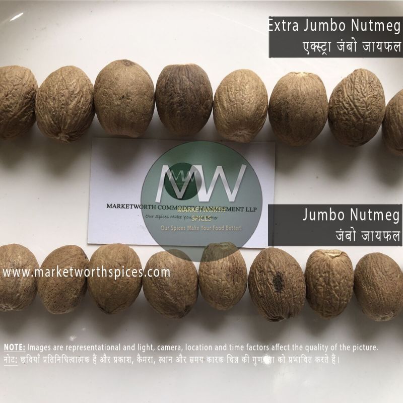 Brown Natural Nutmeg, Form : Solid