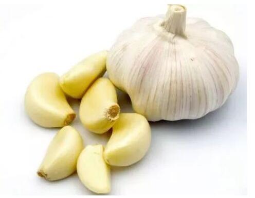Dried Garlic, for Cooking, Spices, Feature : Dairy Free, Gluten Free, Moisture Proof, Natural