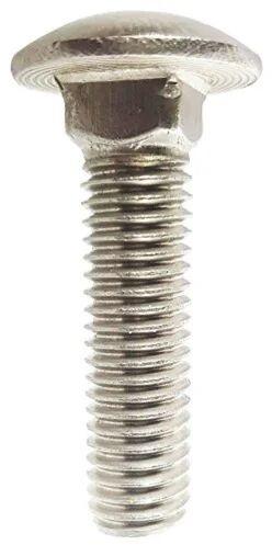 SS Carriage Bolt