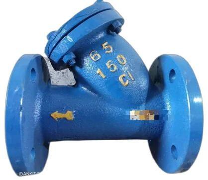 y type strainer valve