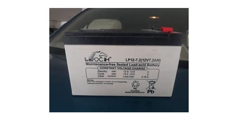 Leoch SMF Battery