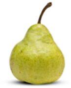 Packham Pears