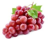 Red globe grape