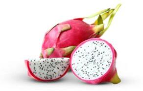 White Flesh Dragon Fruit