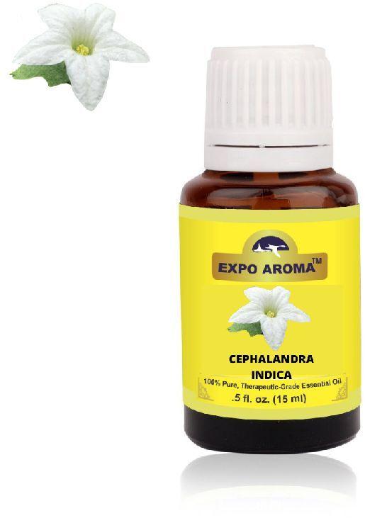 CEPHALANDRA INDICA  Extract