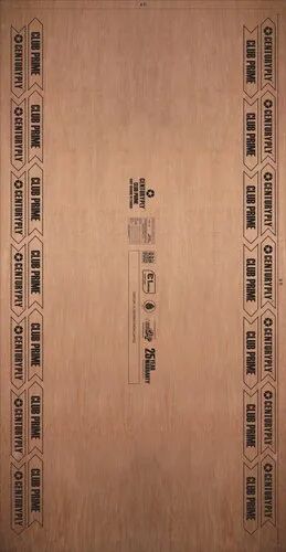 Century Plywood, for Furniture, Size : 8*4 feet