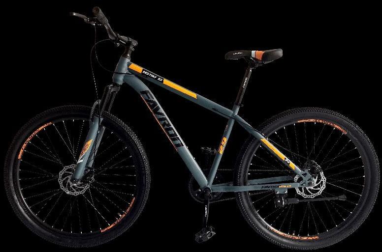 Destiny DX 29 ER - MTB single Speed Bike