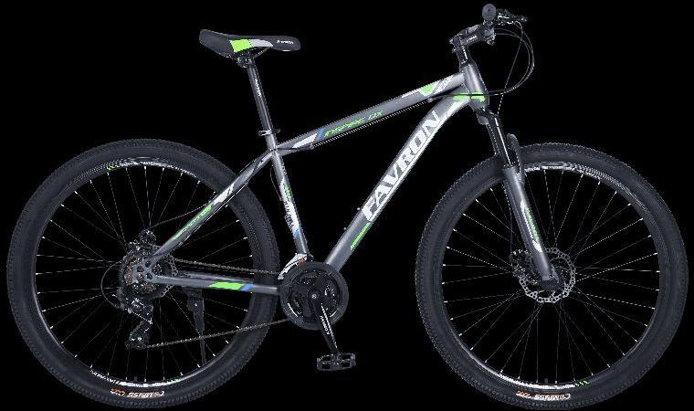 Inspire DX 29ER HI-ten Steel 21- MTB Multi  Speed Bike