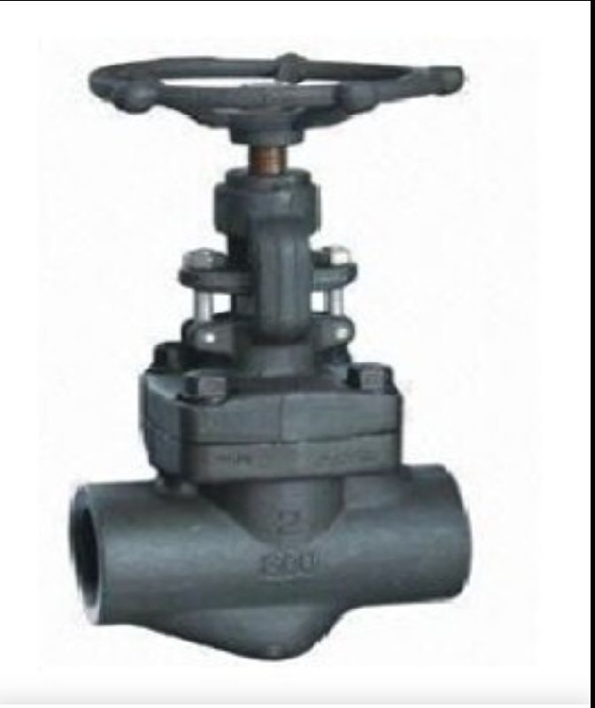 forged valve