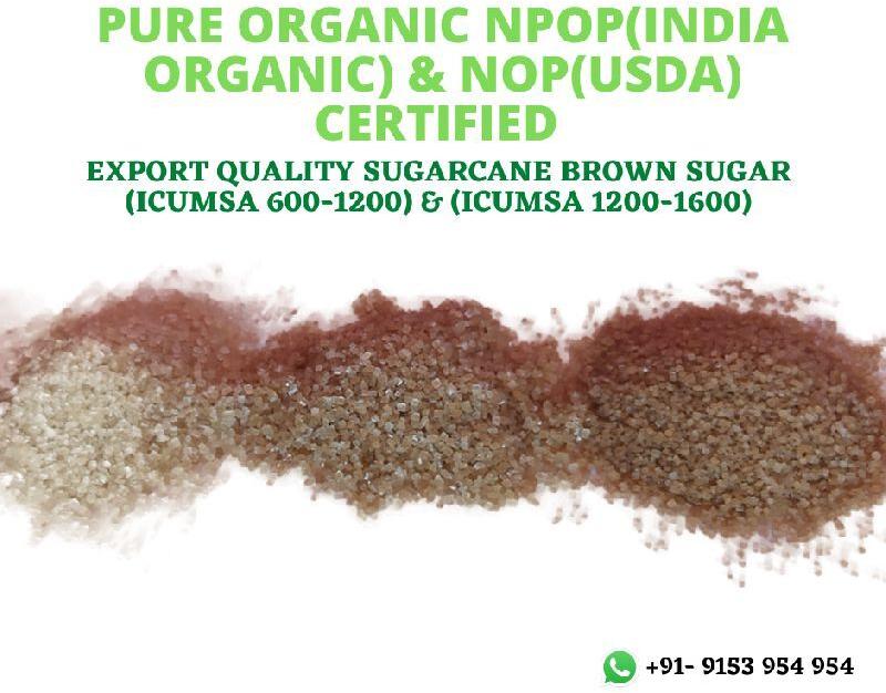 Organic Brown Sugar, Packaging Type : PP Bag