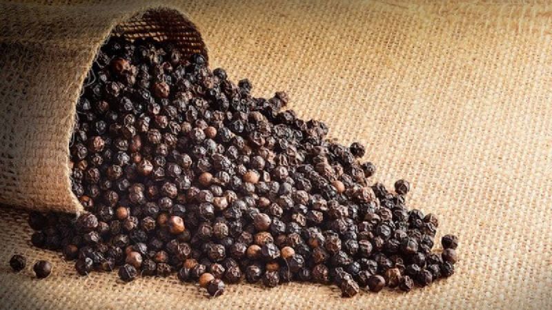 Raw Natural black pepper, for Cooking, Style : Dried