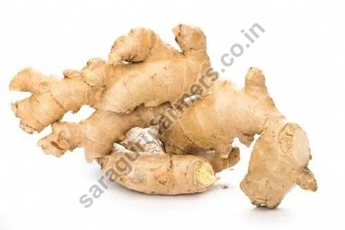 raw ginger