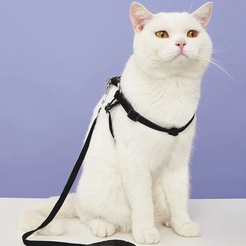 50 Gm Nylon Pet Harness, for Cat