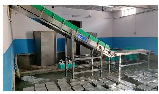 Indoswiss Stainless Steel Flight Conveyors, Length : 20 Meter