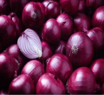 Organic Onion, For Cooking, Home, Hotels, Onion Size Available : Medium