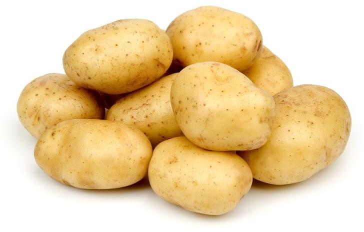 Organic fresh potato, Shelf Life : 10 Days