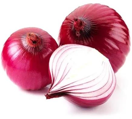 Fresh Big Onion, for Food, Packaging Size : 50kg