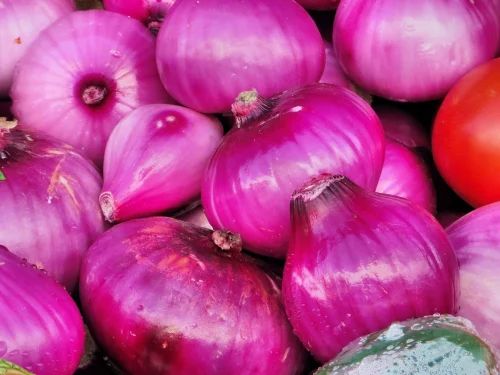 Fresh Pink Onion, for Food, Packaging Type : Net Bag