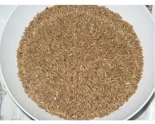 Hard Natural 1836 Bamboo Rice, for Cooking, Style : Dried
