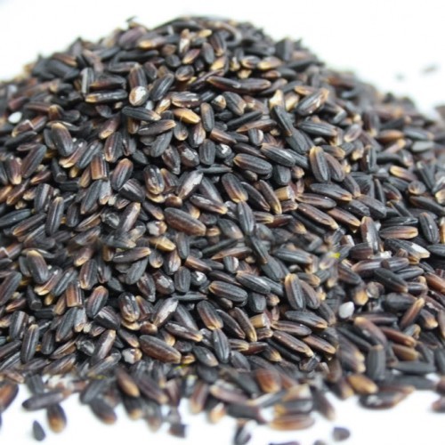 1836 Black Kavuni Rice