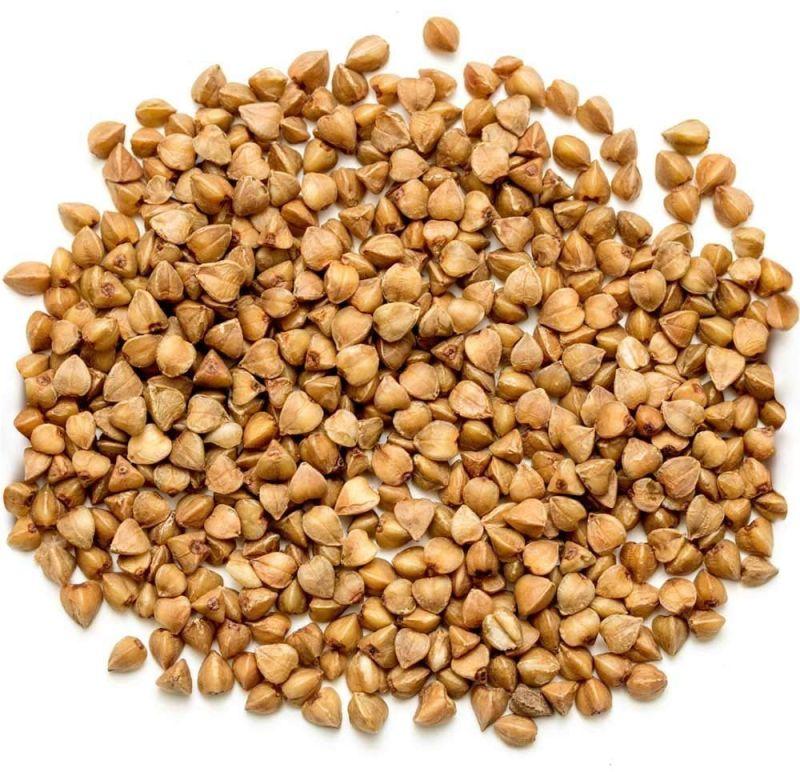 Brown Natural 1836 Buckwheat Seeds, Packaging Size : 25-50kg