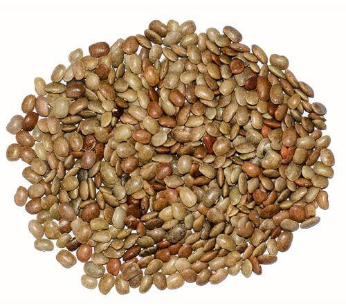 Brown Natural 1836 Horse Gram, for Soups, Curries, Specialities : Rich In Taste