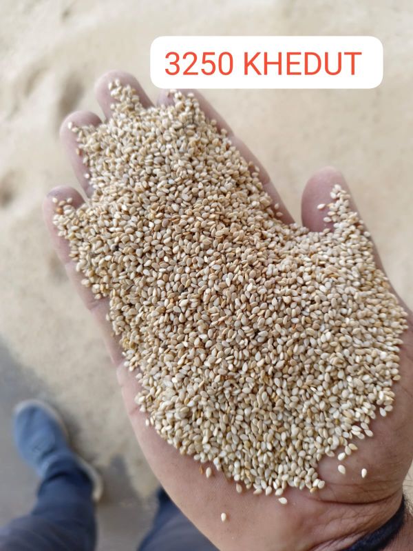 white sesame beej