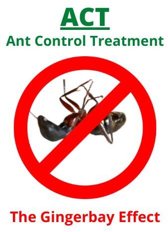Ants Control Services