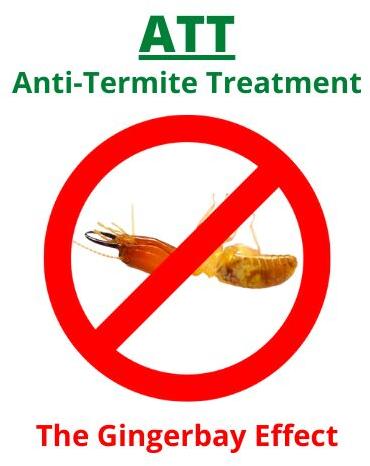 Termite pest control service