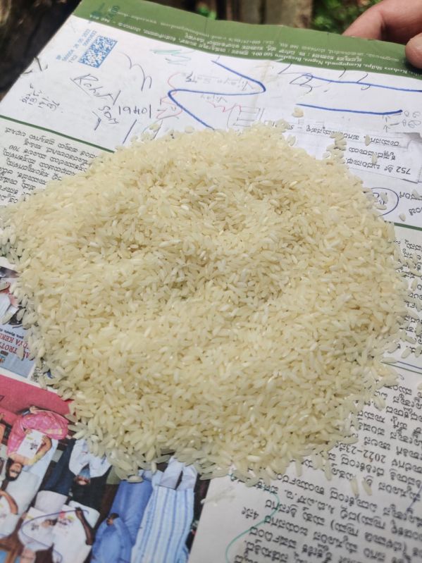 White Natural Sona Masoori Rice, For Cooking, Style : Dried