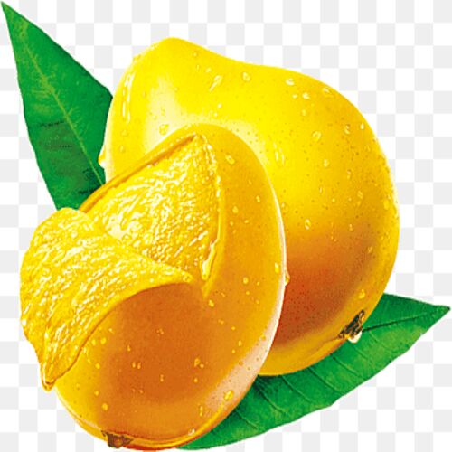 Organic mango, Color : Yellow