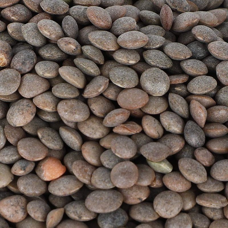 Organic Black Masoor Dal