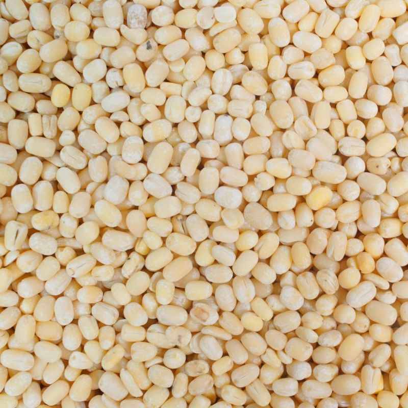 Organic White Urad Dal, Speciality : High In Protein