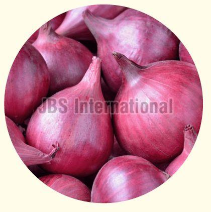 fresh red onion