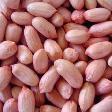 groundnut kernels