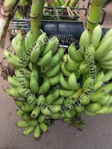 Natural Fresh Green Chakkarakeli Banana, for Human Consumption, Shelf Life : 10 Days