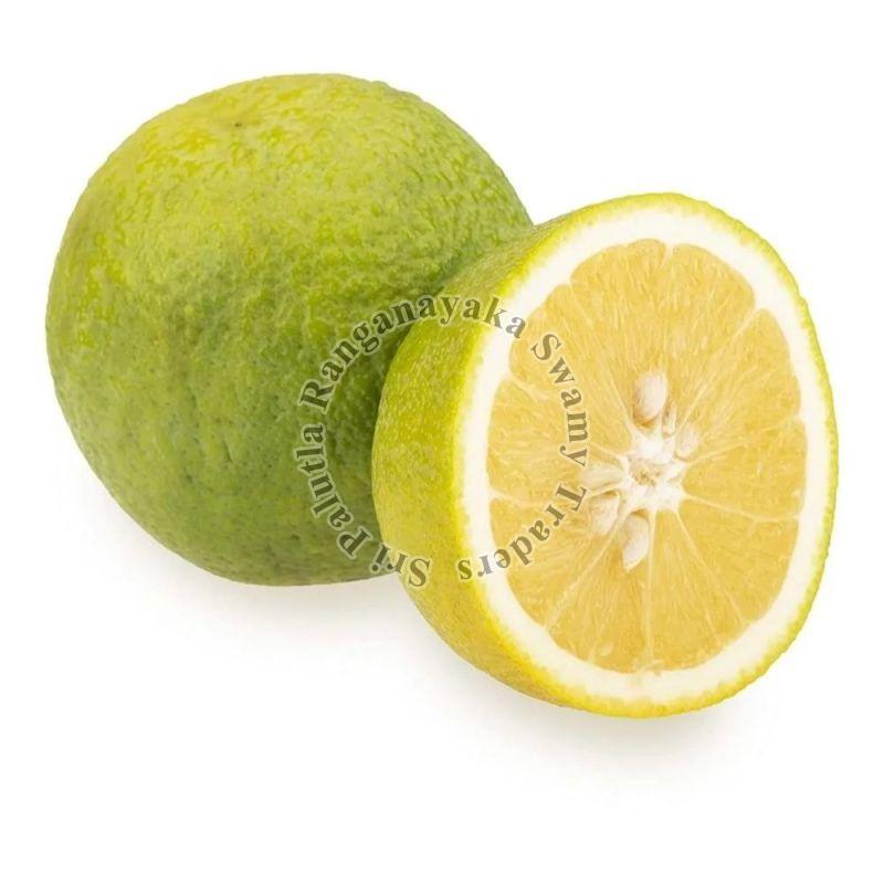 Fresh Green Sweet Lime
