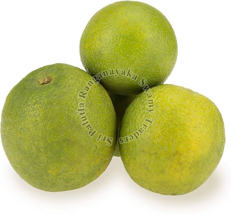 Light Green Round Natural Fresh Mosambi, for Human Consumption, Feature : Reduce Health Issue, Energetic