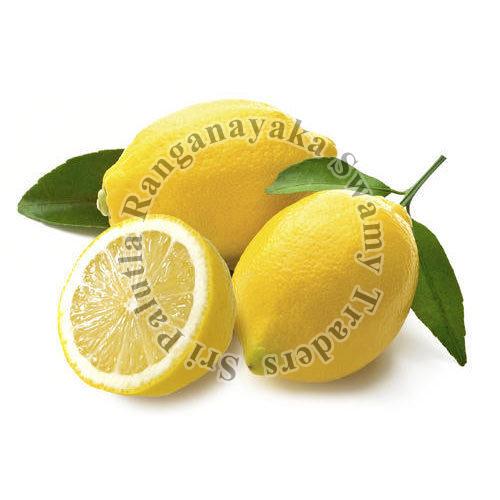 Natural Fresh Yellow Lemon, for Pickles, Human Consumption, Feature : Reduce Health Issue, Non Harmful