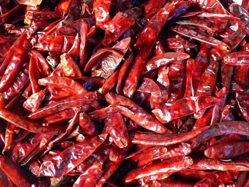 Raw Organic Dry Red Chilli, for Spices, Grade Standard : Food Grade