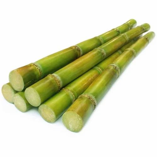 Green-Black Natural Organic Sugarcane, Feature : Sweet