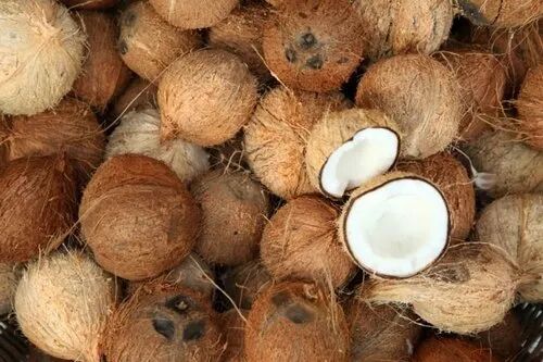 Whole Hard Organic A Grade Coconut, for Pooja, Cosmetics, Packaging Type : Gunny Bags
