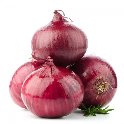 Organic Big Red Onion, for Human Consumption, Shelf Life : 7-15days