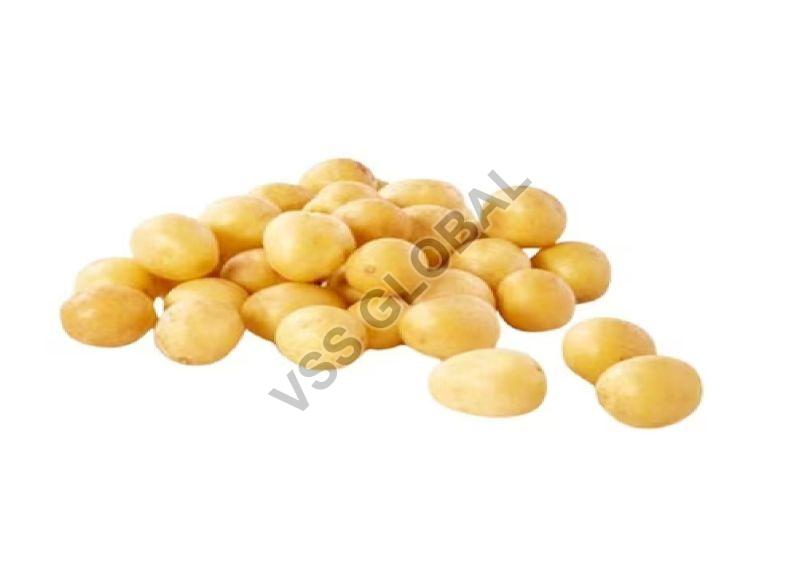 Jyoti Potatoes, Shape : Large Oval