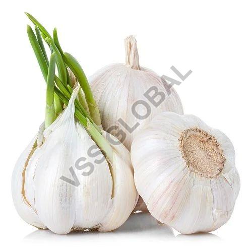 White Fresh Natural Garlic, for Cooking, Packaging Type : Bag