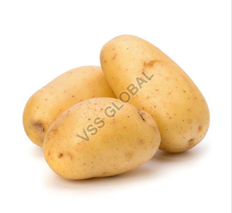 Medium Round Oval Natural Chipsona Potato