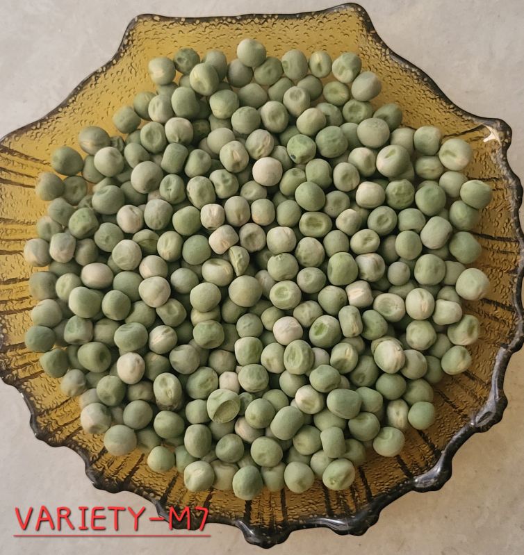 Whole M7 Dried Green Peas, for Cooking Use, Packaging Size : 500 Gm